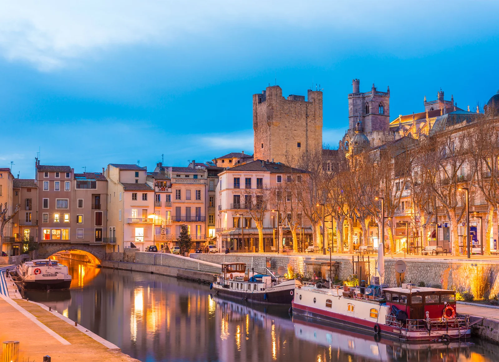 Alexandra Roig Avocat